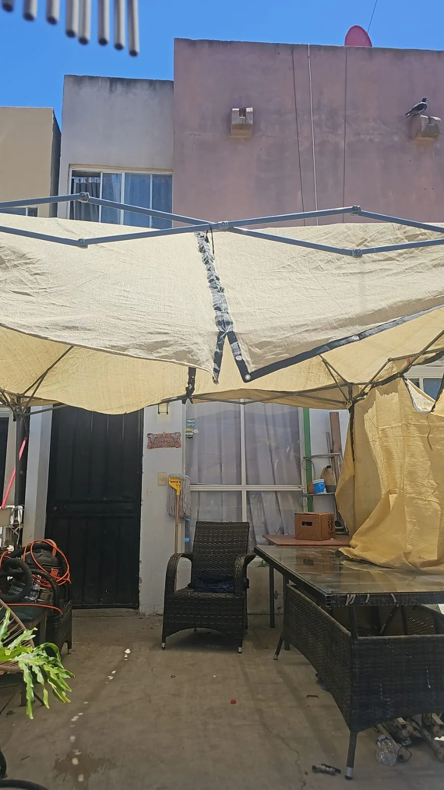 Palma Real · Privada Cataviña en Palma Real, Privada Cataviña, Tijuana